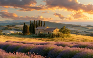 Foto op Canvas A photo of a field filled with blooming lavender flowers, with a distant house visible on the horizon. The purple flowers contrast with the greenery of the field, creating a serene and picturesque sce © imagineRbc