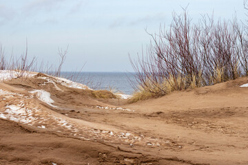 Baltic sea dunes with snow and sea urchins on the background of the sea