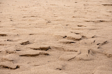 
Brown sand in relief created by the wind