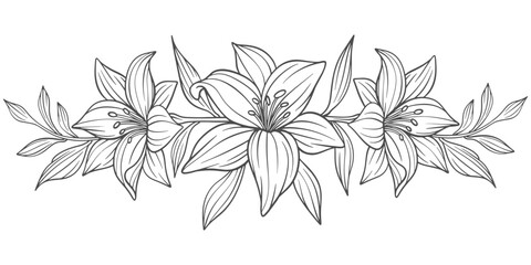 Sketch Floral Botany Collection. flower drawings. Black and white with line art on white backgrounds. Hand Drawn Botanical Illustrations.Vector.