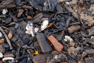 
black pieces of wood strap on which a piece of orange amber shines
