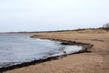 
nature view with sea sand and blue sky
