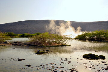 Springs in the Danakil's desert depression
