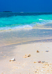 Natural tropical turquoise sandbank islands Madivaru Finolhu Rasdhoo Atoll Maldives.