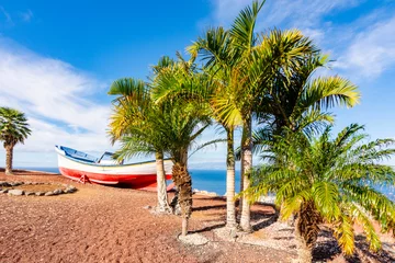 Papier Peint photo les îles Canaries Old boat and palm trees near Los Gigantes, Tenerife, Canary islands, Spain