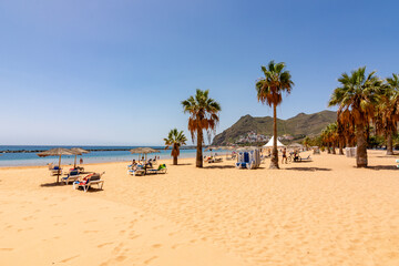 Fototapeta na wymiar Palm trees on Teresitas beach near Santa Cruz, Tenerife, Canary islands, Spain