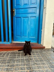 Black cat sitting in front of a blue wooden door on the street of Alcala, Tenerife, Canary Islands, Spain