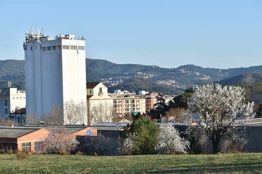 Primavera Prematura Spring Mollet del Vall&egrave;s