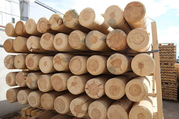 Pile of pine logs in a sawmill, close up