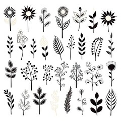 Hand Drawn Floral Design Elements Isolated on White Background, Doodle Plants,Fictional Herbarium