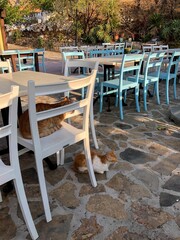 Traditionelles Restaurant auf Kreta, Griechenland