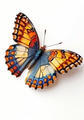 Fototapeta na wymiar Butterfly with vibrant wings in blue and orange tones