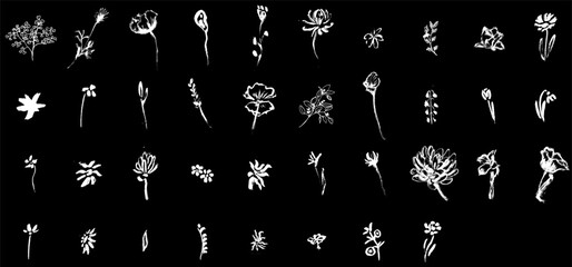 Floral outline hand drawn wedding branch herb set. Elegant leaves and flowers for invitation save the date card design. Botanical rustic trendy greenery vector