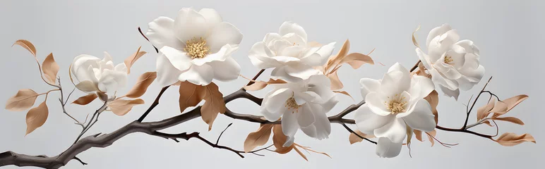Fototapeten An elegant and contemporary floral arrangement featuring white magnolia blossoms in full bloom, set against a muted background. © Avalga