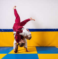 Young girls and boys practice Brazilian jiu jitsu in the gym