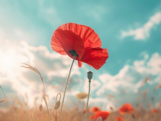 A vibrant red poppy flower standing tall in a field under a partly cloudy sky.