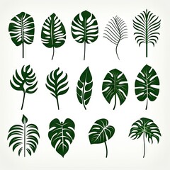 Fototapeta na wymiar Monstera Leaf Icon Collection, Exotic Leaves Silhouettes, Tropical Plant Symbols, Simple Monstera