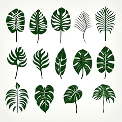 Papier Peint photo Monstera Monstera Leaf Icon Collection, Exotic Leaves Silhouettes, Tropical Plant Symbols, Simple Monstera