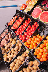 set of organic fruit and vegetables from kilometer zero