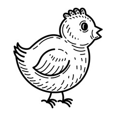 Coloring book little chicken sketch. Cute bird. Farm animal. Hand drawn vector illustration.