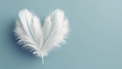 White fluffy feathers in heart shape
