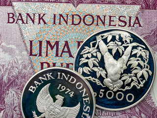 1974 silver proof orangutan animal commemorative coin with ancient banknote background.