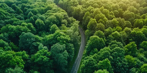Zelfklevend Fotobehang Top view Serene Country Road Amidst Lush Greenery. Aerial top view of winding empty road cuts through a vibrant green forest, highlighting nature's serenity. © SnowElf