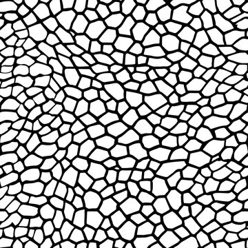 Reptile skin, Seamless animal crocodile pattern for design