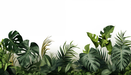 Background of tropical flowers