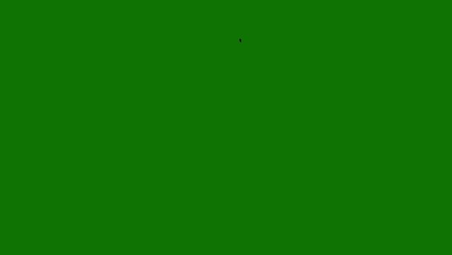 2D FX FIRE Elements: Animated Fire Effect on a Green Screen Background