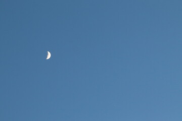 moon in the sky