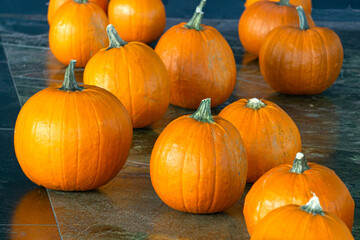 Beautiful orange pumpkins decorate the street for the holiday.