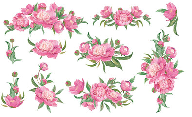 Set of horizontal bouquets of spring peonies isolated on a white background drawn in gouache for creating patterns and cards