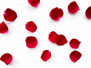 Scattered red rose petals isolated on white background. Flat lay, top view. Romantic concept for design and decoration. Can be used for romantic event decorations, wedding invitations, greeting cards