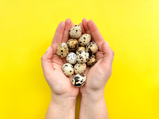 Hands presenting quail eggs against vibrant yellow background, depicting concepts of organic produce and Easter decorations with space for text.