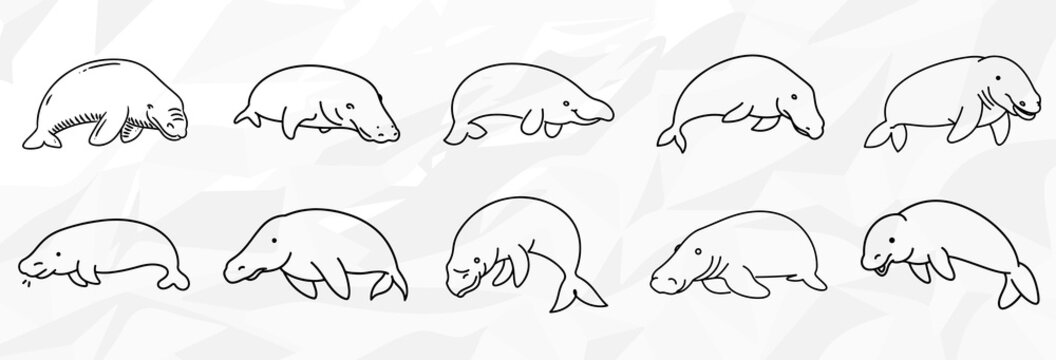 Dugongs: Vektorgrafik-Bundle mit verschiedenen Lineart-Zeichnungen