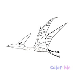 Coloring book Dinosaurs species black white hand-drawn sketch