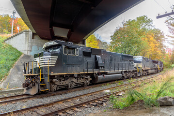 Powerful black disesl locomotives pulling a cargo train passing under a road bridge