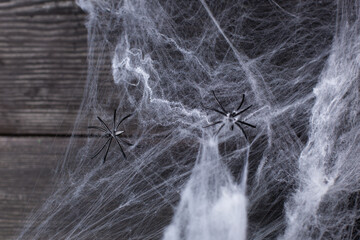 Decorative web with spiders for Halloween on a black background