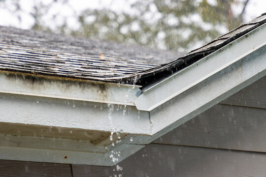 Rain on roof
