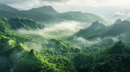 Beautiful landscape of mountains in the Amazon with fog at dawn in high resolution and quality. nature, environment concept