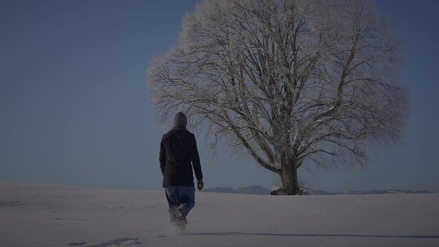 One Man Hiking Outdoors in Winter Snow Landscape Scenery