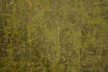 A detailed close-up photo of a wall with green paint, showcasing the texture and color of the painted surface.