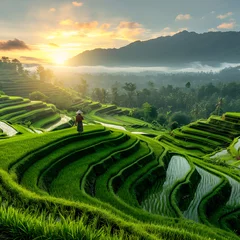 Zelfklevend Fotobehang Terraced rice fields in the mountains. Farmers view crops and view of the sun in the morning © muhammad