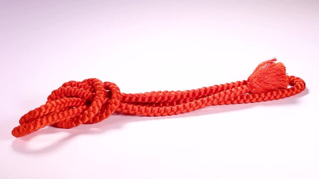 白背景の帯締め　回転