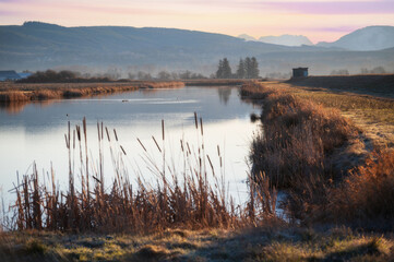 Slough at the Skagit Wildlife Area, Fir Island Farm Reserve. With over 200 acres of estuary in this...