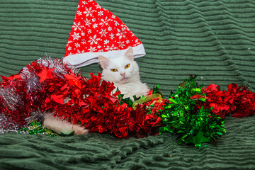 A beautiful white cat with fluffy fur and large green-yellow eyes lies in New Year's tinsel on a...