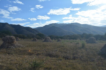 Paisaje del campo en Nayarit