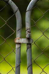 Rusty chain link fence up close with green plant bokeh background