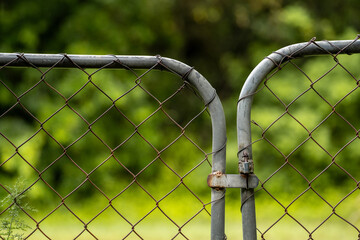 Rusty chain link fence up close with green plant bokeh background